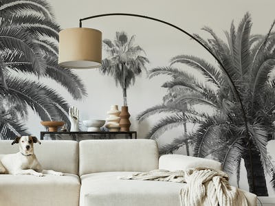 Palm Trees Beauty 3