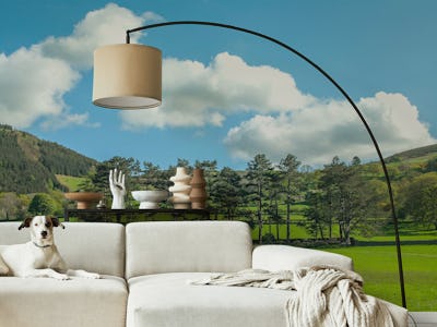Countryside meadow