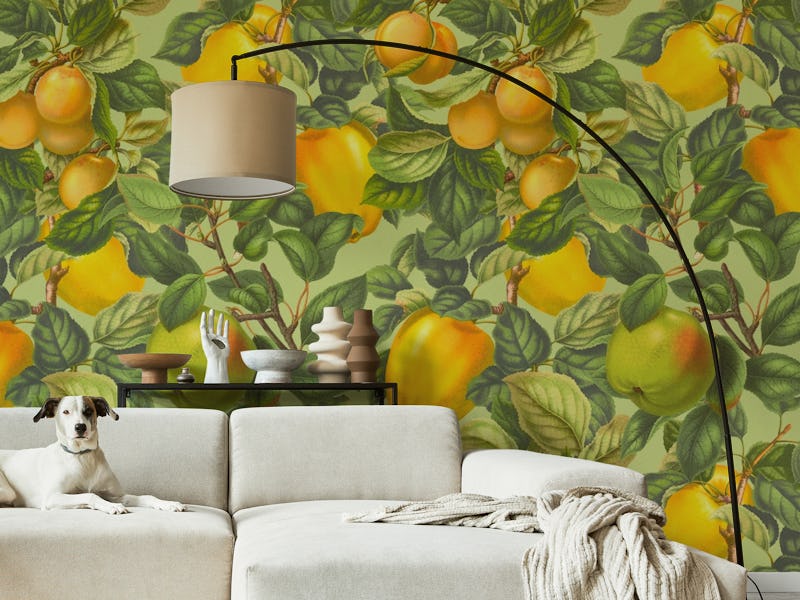 Summer Fruit Garden