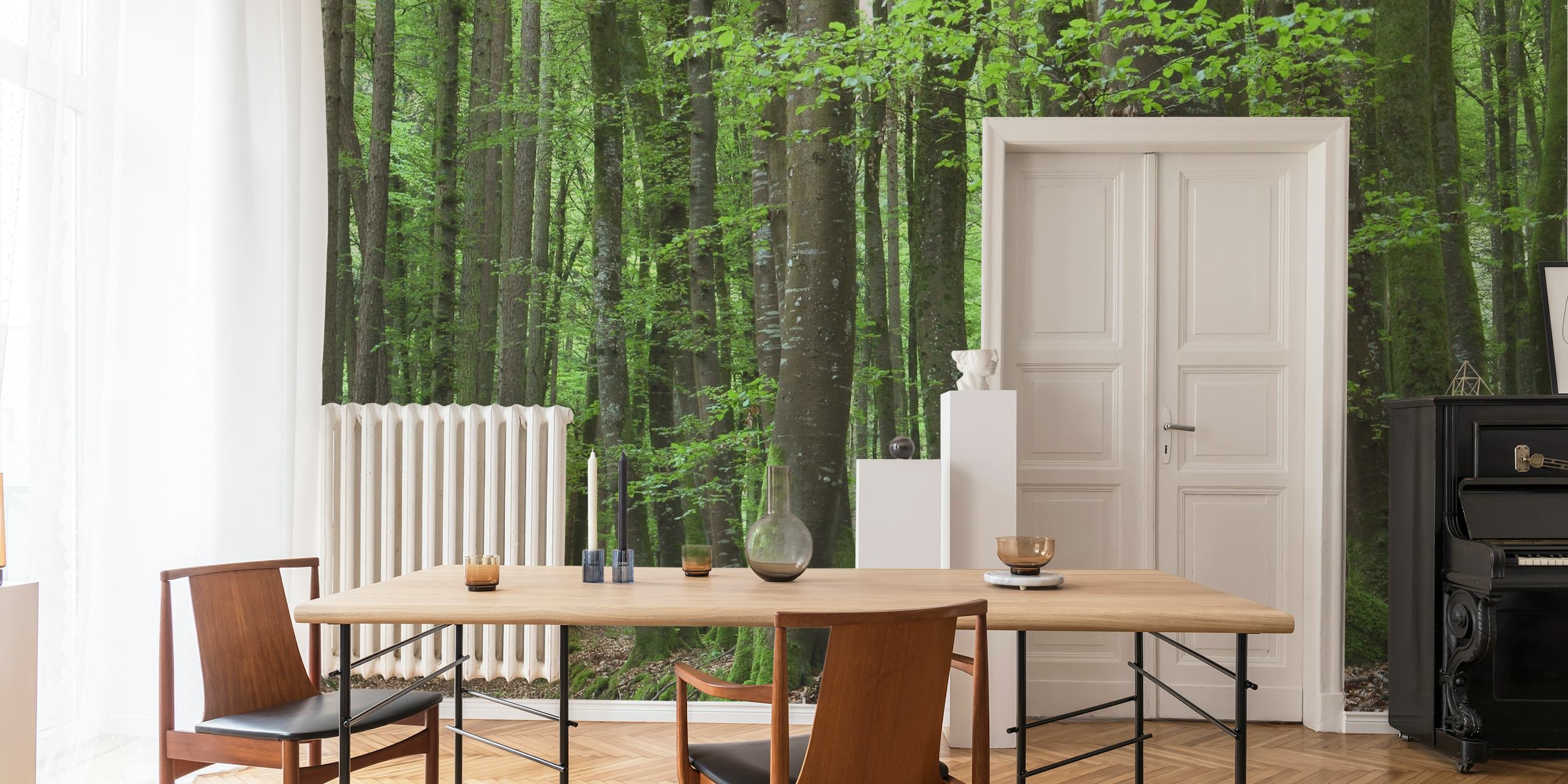 Bohlinger Schlucht forest wall mural with green moss-covered trees