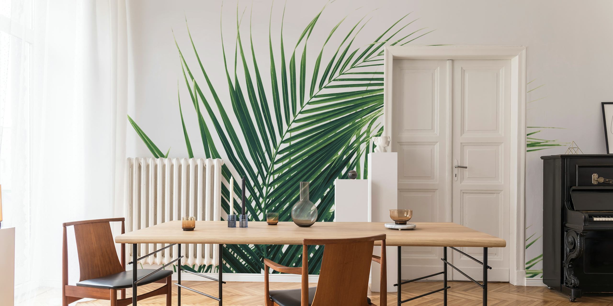 Tropical green palm leaves on a white background wallpaper