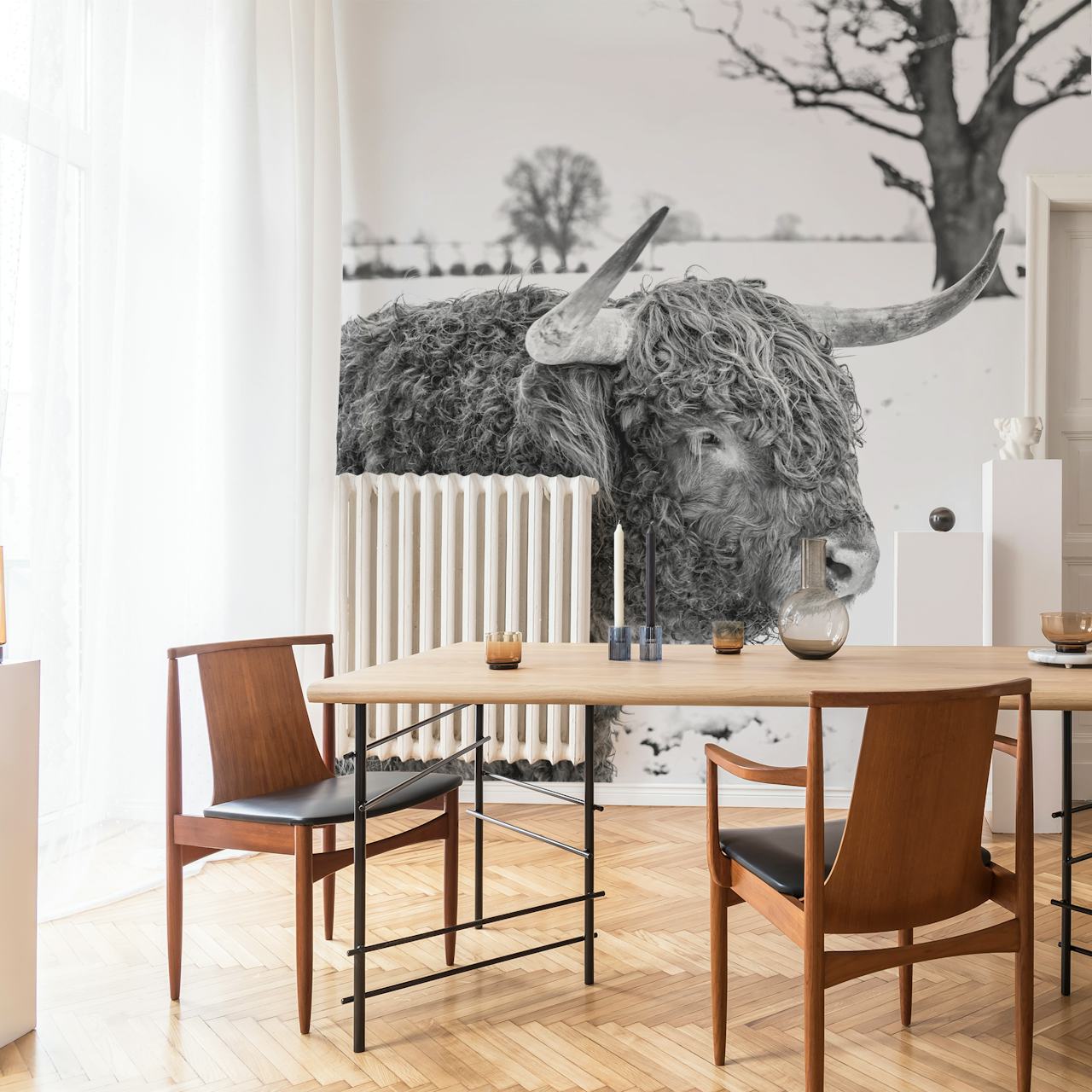 Iconic Highland Cow wallpaper in a room