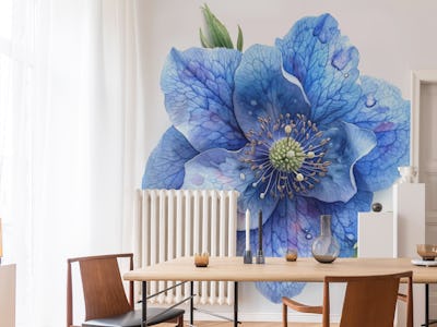 Monkshood Bloom