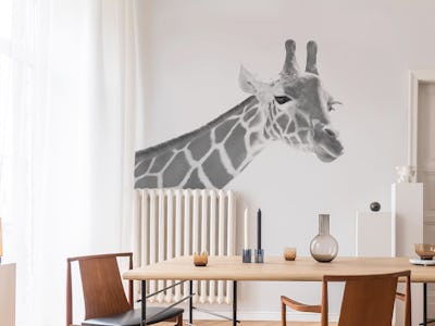 Giraffe Black White Dream 1