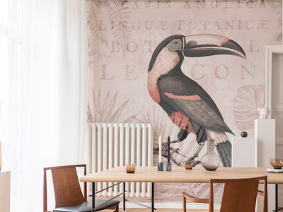 Toucans Tropical Hideaway Blush