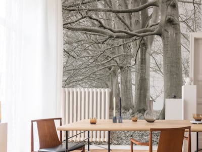 Branching Out in Symmetry