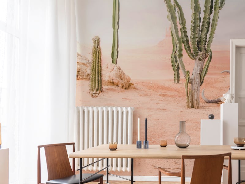 Desert Cacti Skull Wilderness Scene