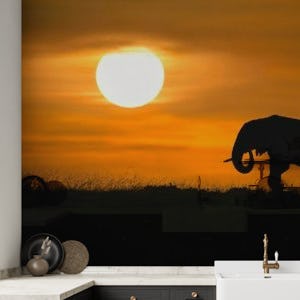 Elephant at dawn