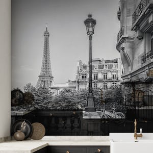 Monochrome Parisian Charm