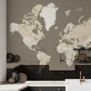 Detailed world map Earth tones
