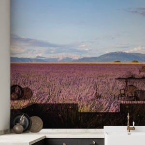 Lavender Fields Provence
