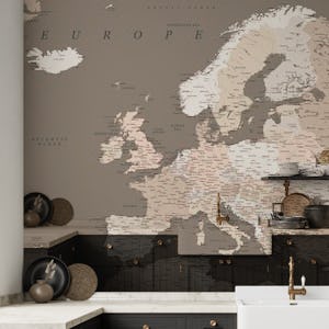Detailed Europe map Earthtones