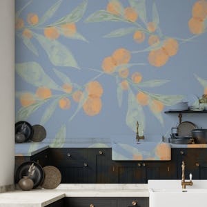 Clementine Wallpaper