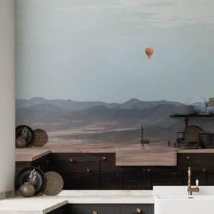 Balloon in the distant
