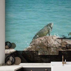 Iguana Curacao Ocean Dream 1