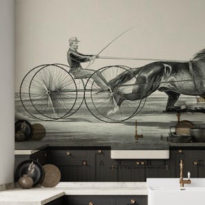 Horse Race Historic Art