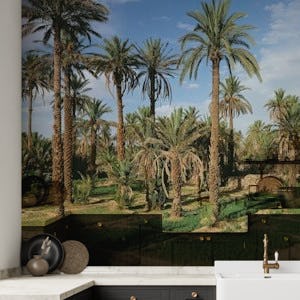 Palmtree Oasis in Morocco