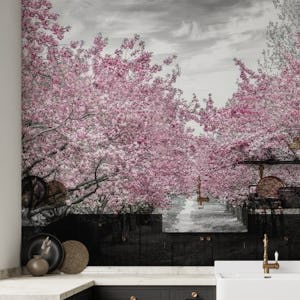 Charming cherry blossom alley