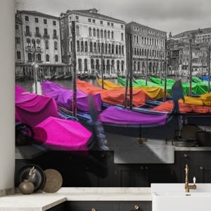 Multicolored Venice