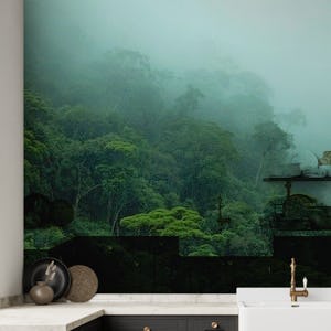 Misty Amazon rainforest