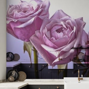The Allure of Purple Roses