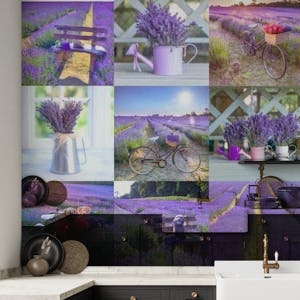 Lavender Collage