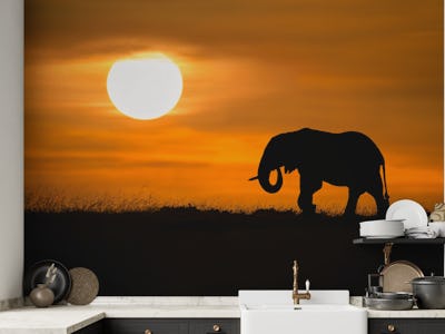 Elephant at dawn