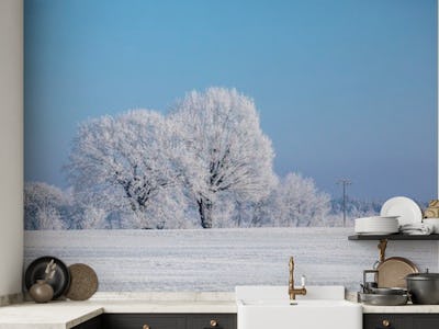 Nordic Winter Landscape