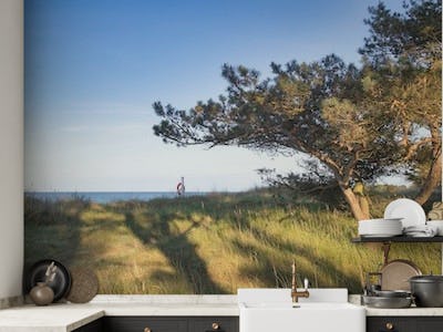 Baltic Sea View With Pine