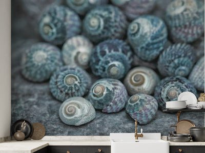 Blue Snail Shells