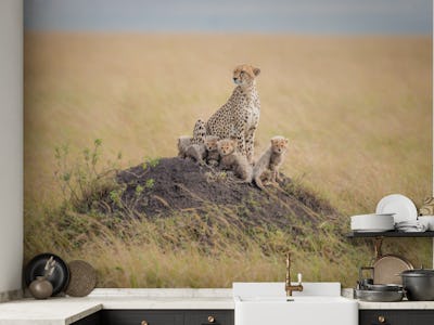 Regal Protector