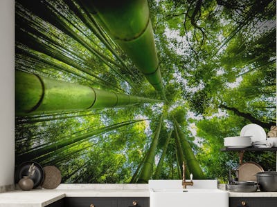 ARASHIYAMA