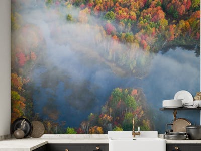 Autumn Symphony I