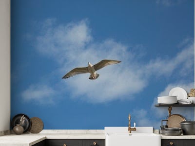 Sea Gull On Blue Sky