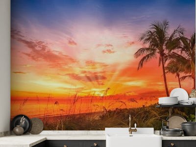 Picturesque Florida Sunset