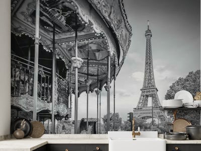 Typical Paris monochrome