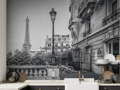 Monochrome Parisian Charm