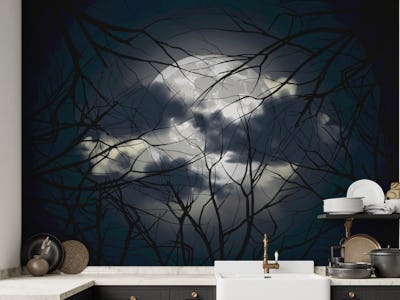 Night Forest 2