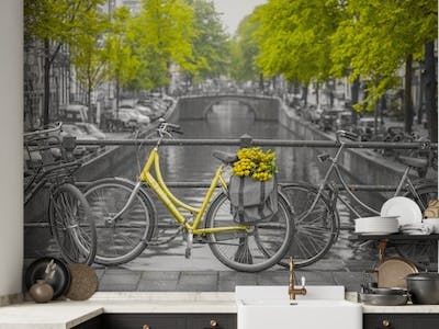 Bicycle with flowers at canal