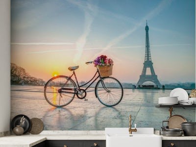 Bicycle and Eiffel tower