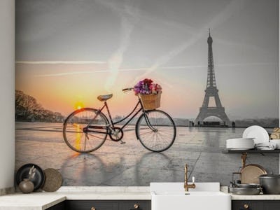 Bicycle and Eiffel tower 4