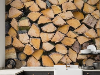 Wood logs 4