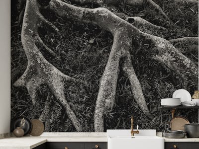 Roots II