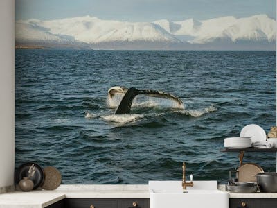 The whale in the fjord