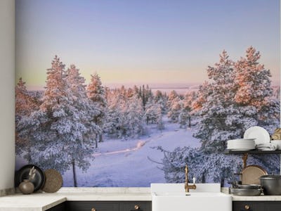 Lapland winter landscape 1