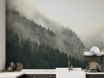 Misty Mountainside