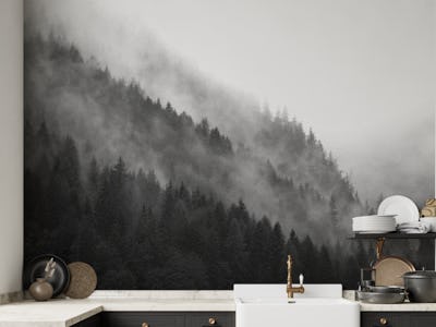 Mountain Mist Monochrome