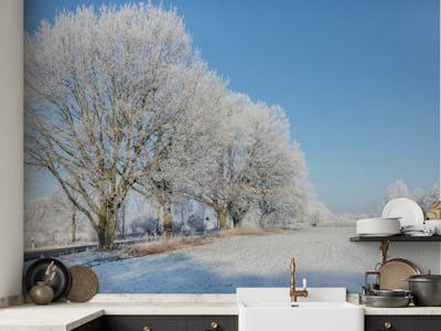 Winter Idyll In The North