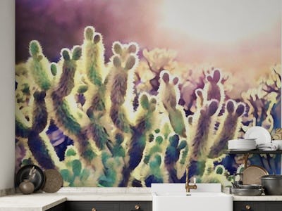 Sunset Desert Cacti