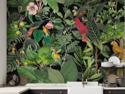 Tropical Parrots Paradise